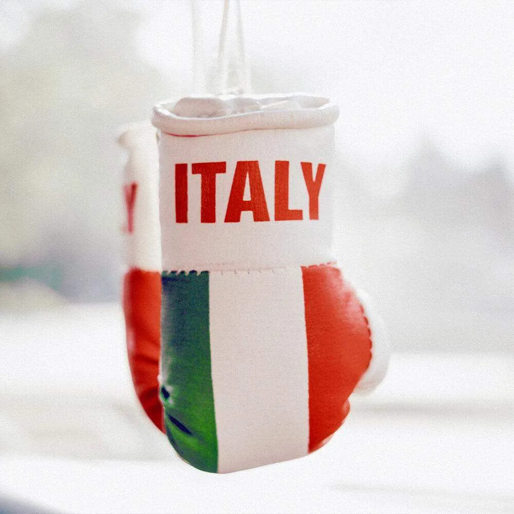 Italy Mini Boxing Gloves