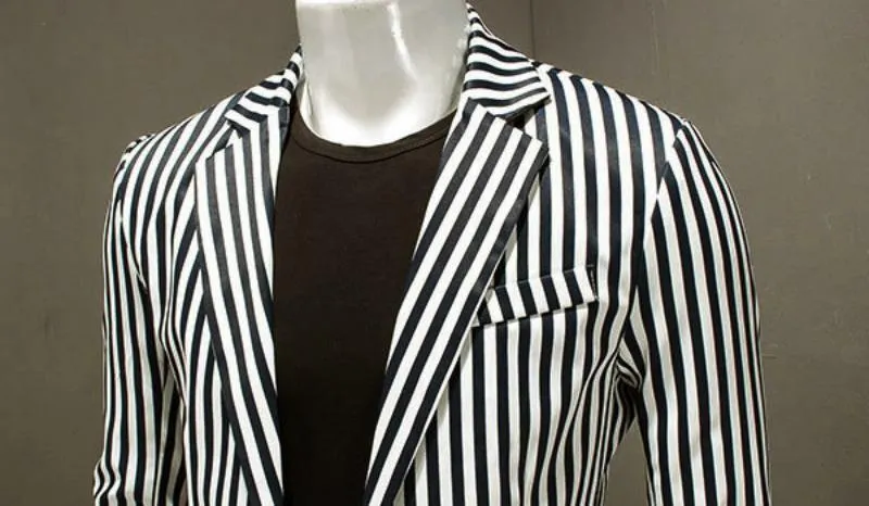 Men's Slim Fit Striped Blazer | Plus Size