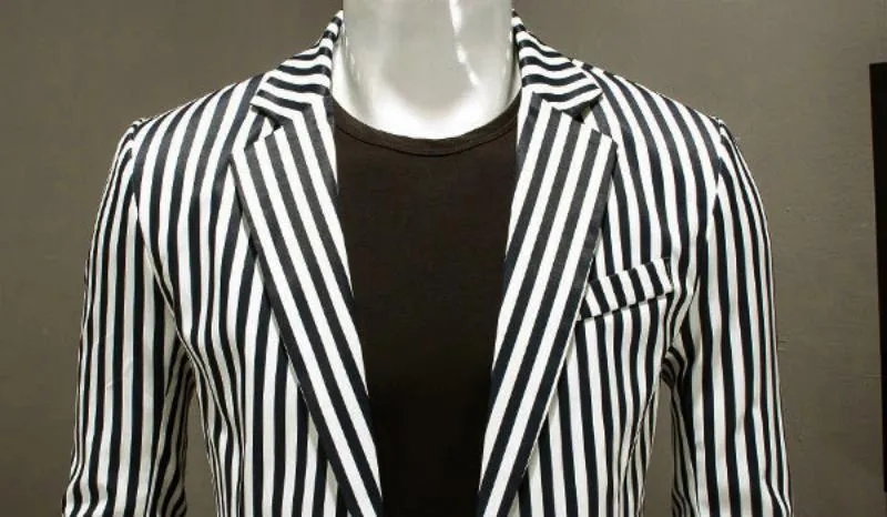 Men's Slim Fit Striped Blazer | Plus Size