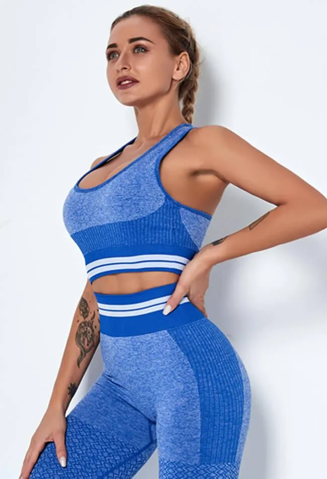 Vibrant Seamless Sports Bra